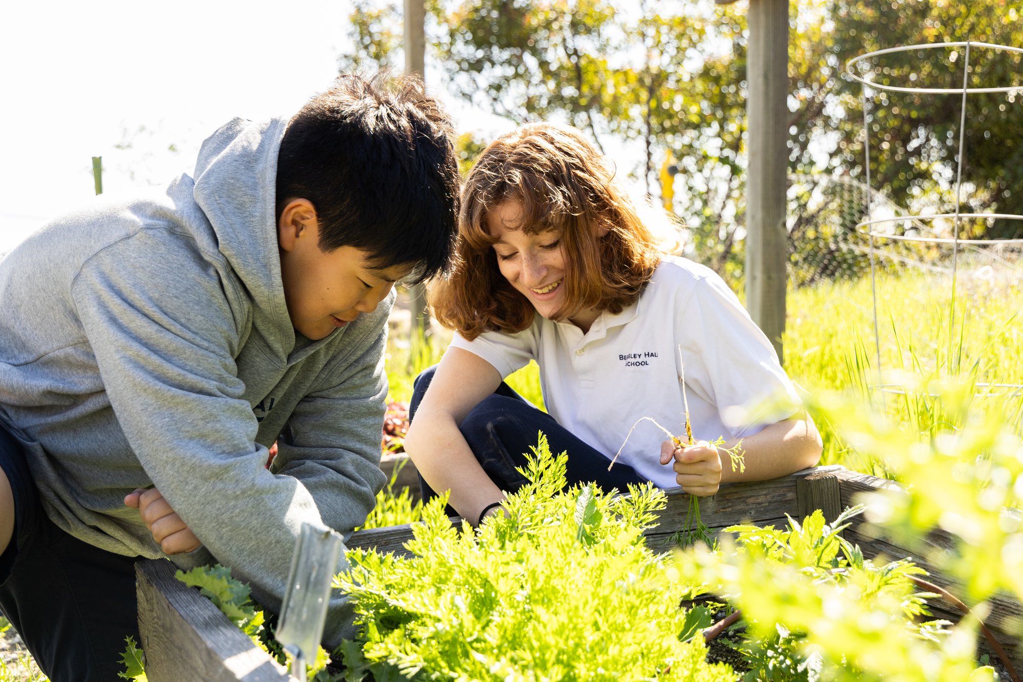 Discover Berkeley Hall